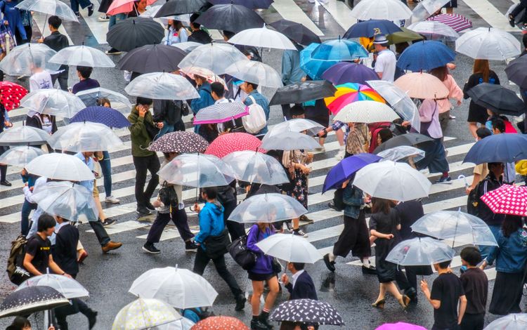 Umbrella Street Scenery Japan