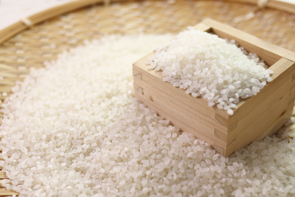 japanese rice, koshihikari rice