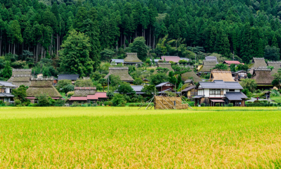 nông thôn Nhật Bản