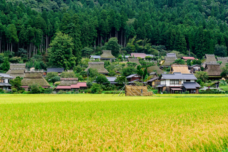 nông thôn Nhật Bản