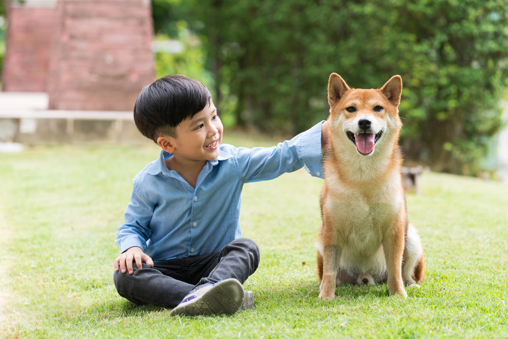 Thú cưng muốn bạn chăm sóc như thế nào