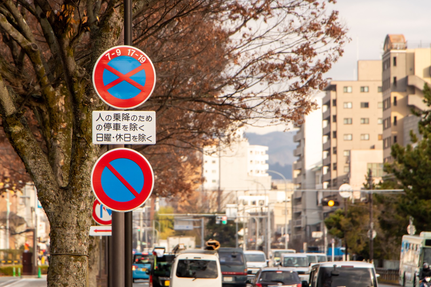 这些标志你看得懂吗 在日本开车须知 道路交通标志基础篇 Tsunagu Local